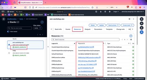 Insync EMR Tutorial 的图像结果