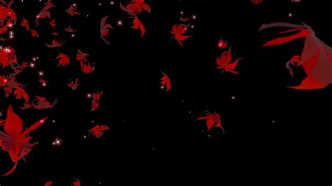 Particle Loop 的图像结果