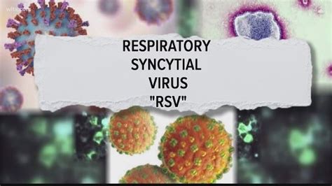 RESPIRATORY SYNCYTIAL VIRUS (RSV) - UPSC Current Affairs - IAS GYAN