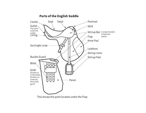 English Saddle Diagram: Learn the Parts of an English Saddle