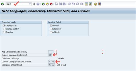 SAP Coding Block 的图像结果