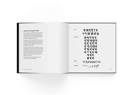 Beginner's Tutorial 的图像结果