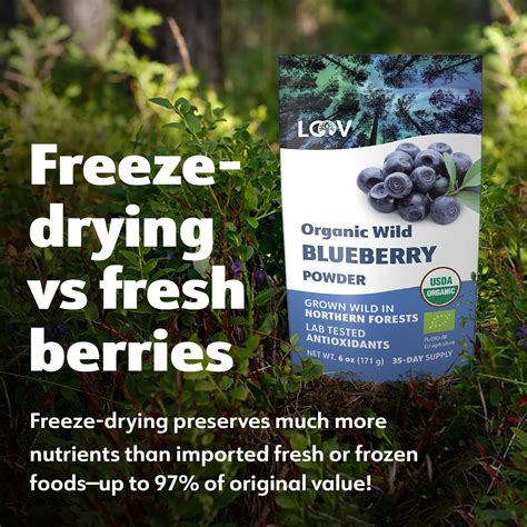 Wild Blueberries Vs Blueberries