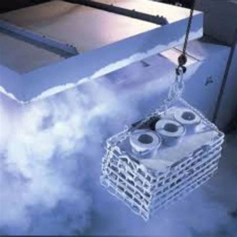 Liquid Nitrogen - Liquid Nitrogen For Artificial Insemination Of Cattle ...