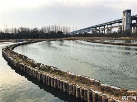 长江芜湖段水位持续上涨_手机新浪网