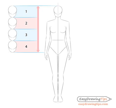 Image result for Body Guide Box Drawing