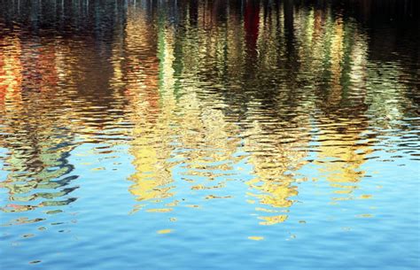 Reflection 的图像结果