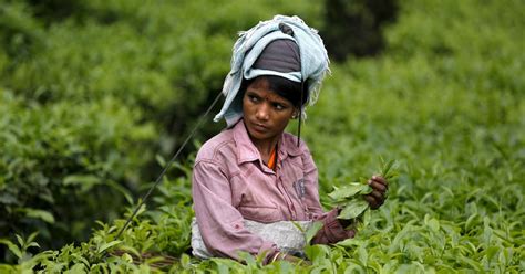 What Assam’s new Scheduled Tribe reservation proposal could mean for ...