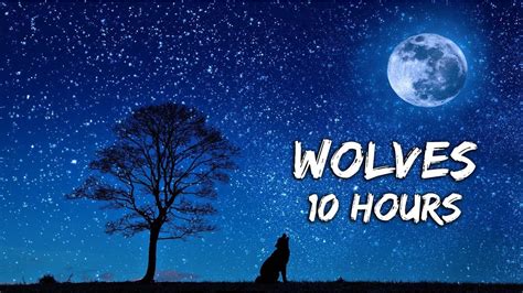 Image result for Wolves Howling Ten Hours