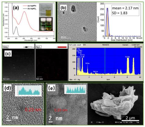PVP/Highly Dispersed AgNPs Nanofibers Using Ultrasonic-Assisted ...
