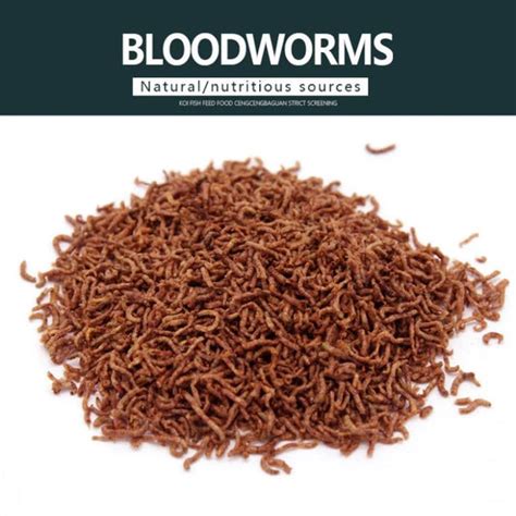 Fish Foods – Veda Aquarium