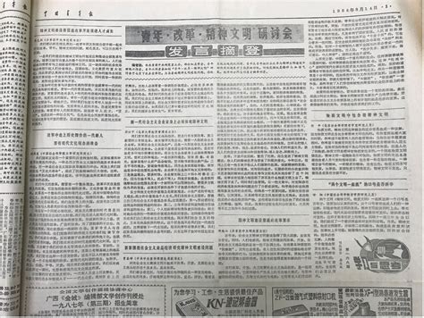 道术将为天下裂：1986、富强胡同6号与当代中国知识分子的分野 — 中国:历史与未来
