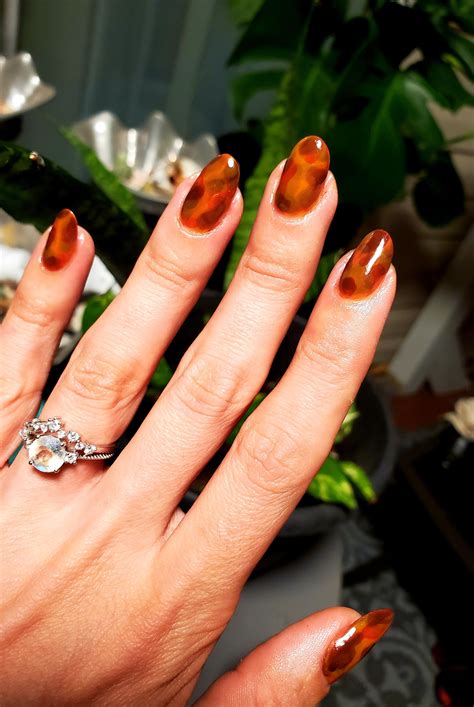 Image result for Tortoise Shell Manicure