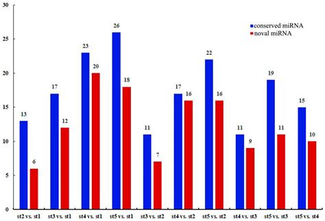An Integrated Analysis of Transcriptome and miRNA Sequencing Provides ...