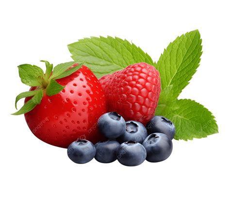 35+ Free Fresh Ripe Summer Berries Vector Material