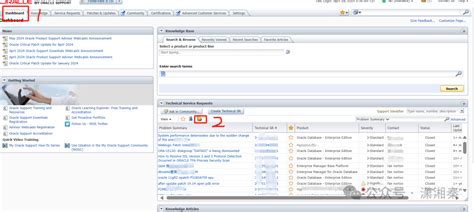 Oracle Inform Support 的图像结果