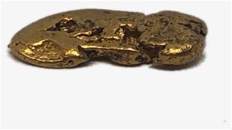 Image result for Python Family