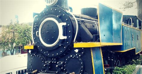 First Local Train 的图像结果