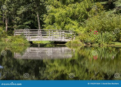 Bridge at Leonard J. Buck Garden Stock Photo - Image of plants ...