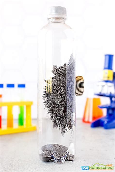 Image result for Experiments Using Magnets