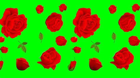 Image result for Falling Flower Animation