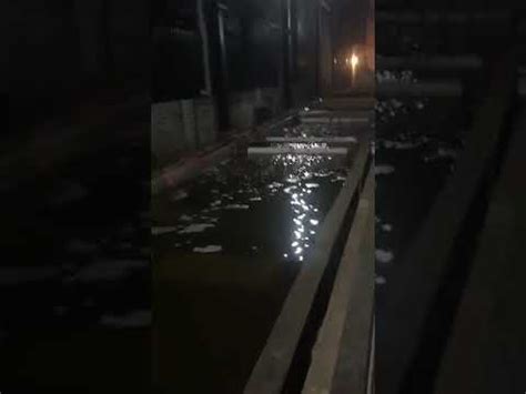 Manufacturer of Wire Drawing Machines & Galvanizing Plant by N. K ...