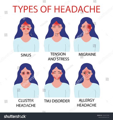 Types Headache Allergy Tmj Temporomandibular Joint Stock Vector (Royalty Free) 1524377078 ...