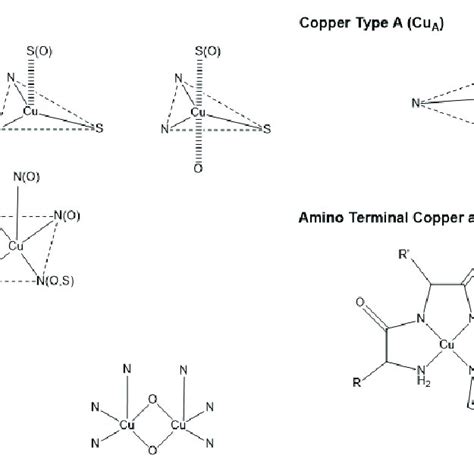 Image result for Cuum Comp