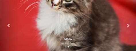 Slider in Bootstrap HTML 的图像结果