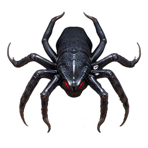 Image result for Alien Bug SCPS