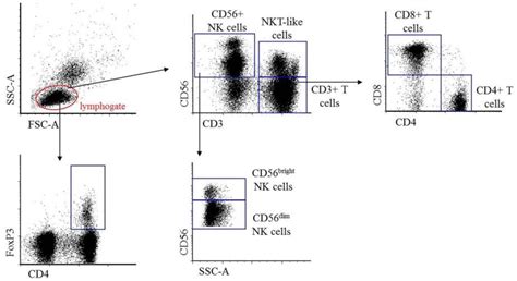 Different Expression Pattern of TIM-3 and Galectin-9 Molecules by ...
