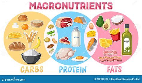 Image result for Macronutrients Graphics