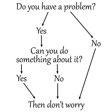 Image result for Why Worry Flow Chart