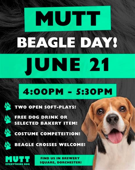 MUTT Beagle Day, Brewery Square, Dorchester, 21 June 2026 | AllEvents
