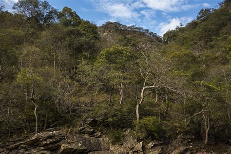 Las Áreas de Conservación Regional: Protegiendo lo mejor de las regiones.