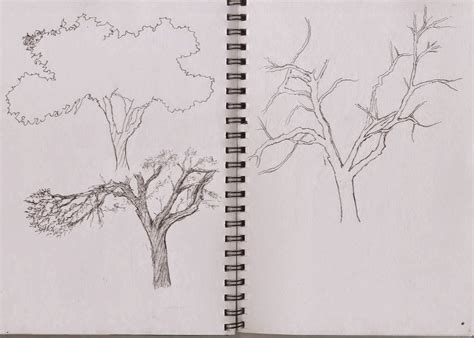 Sketching Tree Limbs 的图像结果