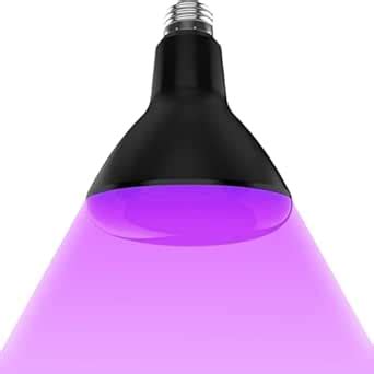 RDR UV Light Bulb 395nm Wavelength12Watt, 220vac (12, Watts) : Amazon ...