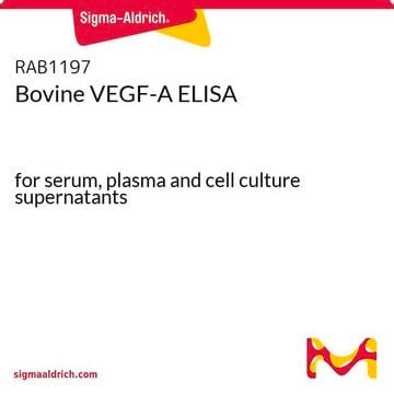 Bovine VEGF-A ELISA for serum, plasma and cell culture supernatants ...