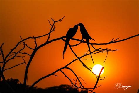 15 Spectacular Photographs That Prove Delhi Is The Most Beautiful City ...