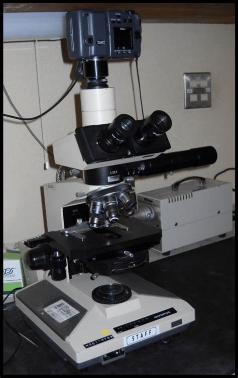 Image result for Compound Microscope with Camera