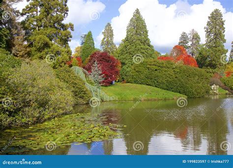 Sheffield park, UK stock image. Image of trees, national - 199823597