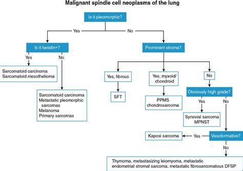 Sarcomas and sarcomatoid neoplasms of the lungs and pleural surfaces - Clinical Tree