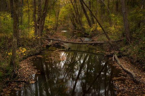 Bicentennial Woods - ACRES Land Trust