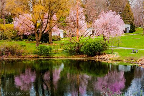 Image result for Spring Definition