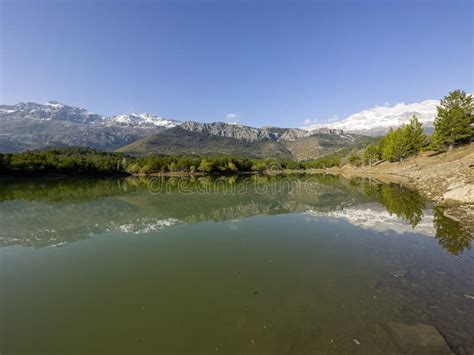 Image result for Spring Season Reflection