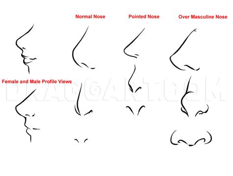 Image result for Nose Drawing Tutorial