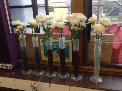 Image result for Class 1 Science Experiments