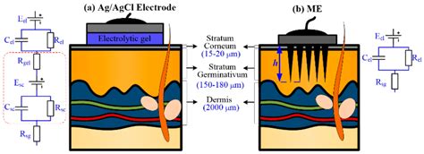 Fabrication of Micro-Needle Electrodes for Bio-Signal Recording by a ...