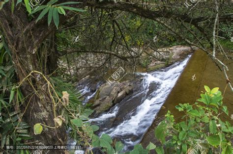 阳光下山林中的小溪流水摄影图片_大图网图片素材
