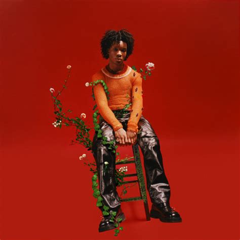 'Farm tools' and 'Pain medicines' found at D4vd's LA mansion; are these ...